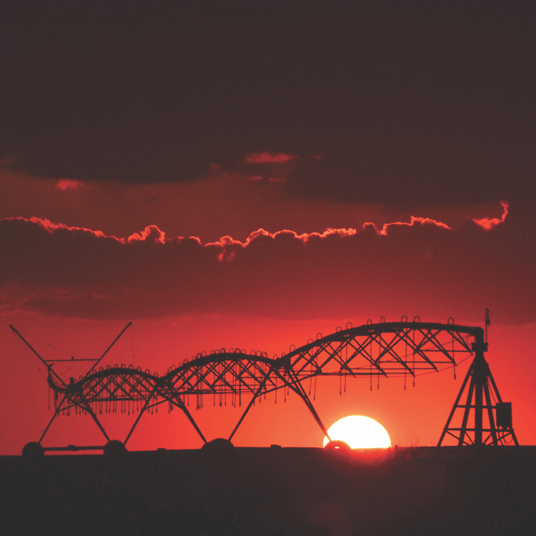 GFB Photo Contest winners capture beauty of farm life